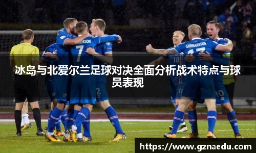 冰岛与北爱尔兰足球对决全面分析战术特点与球员表现